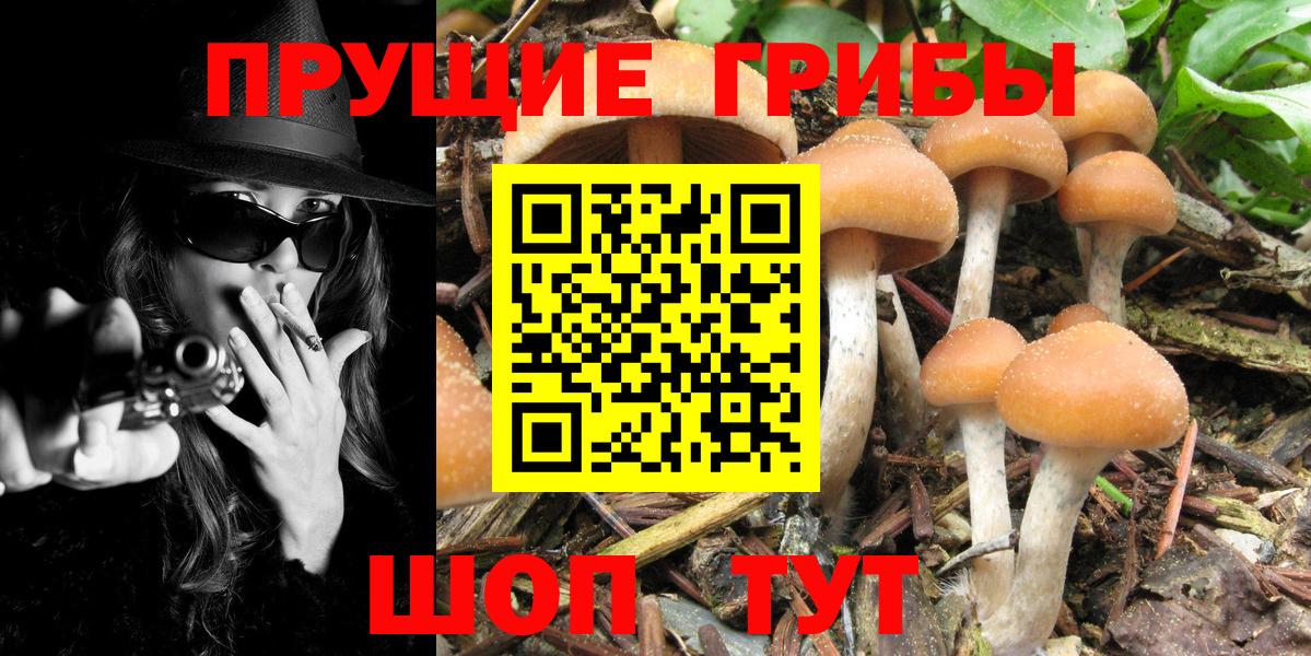 Галлюциногенные грибы мицелий  Вход с VPN  Псков 