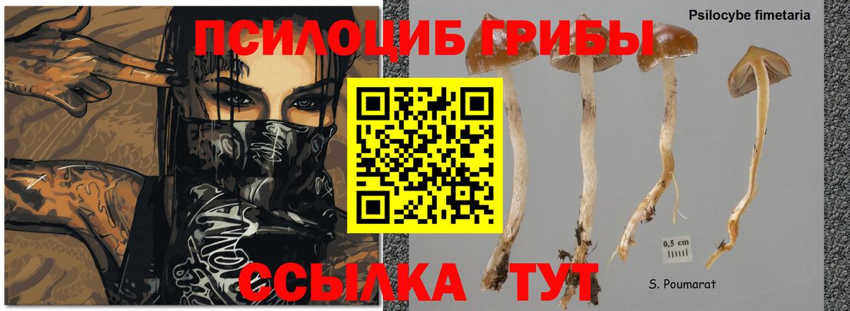 Меф мяу мяу Псков